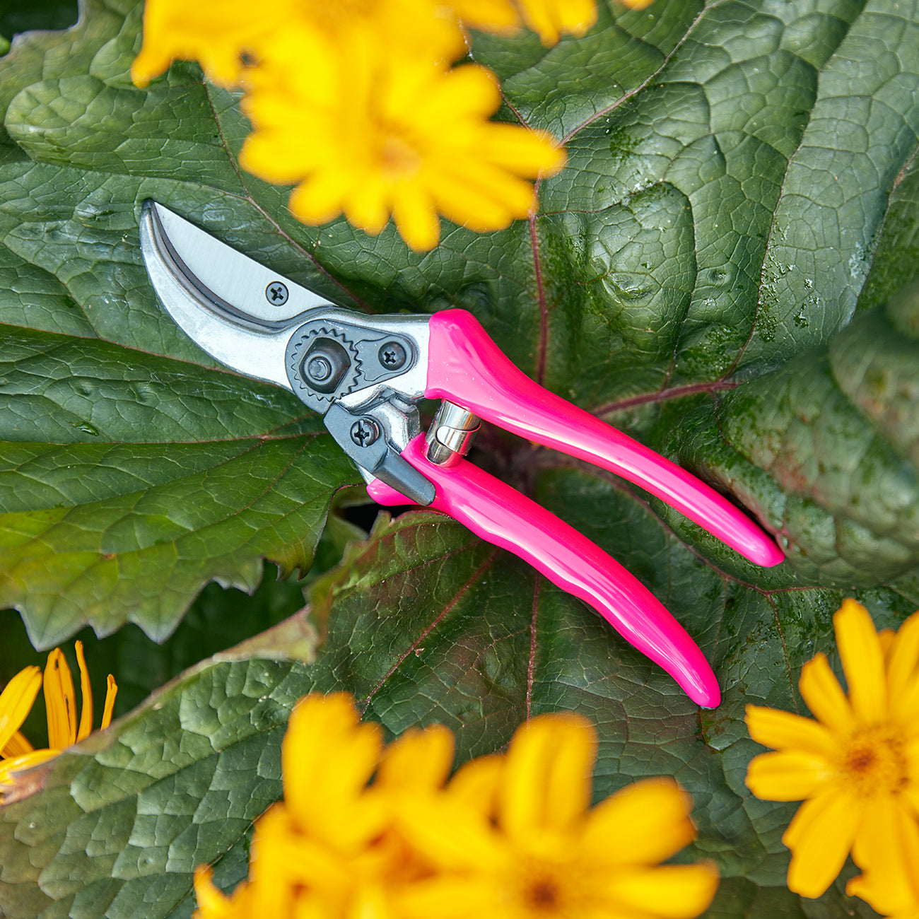 FloraBrite® Pink Bypass Secateurs - RHS Endorsed