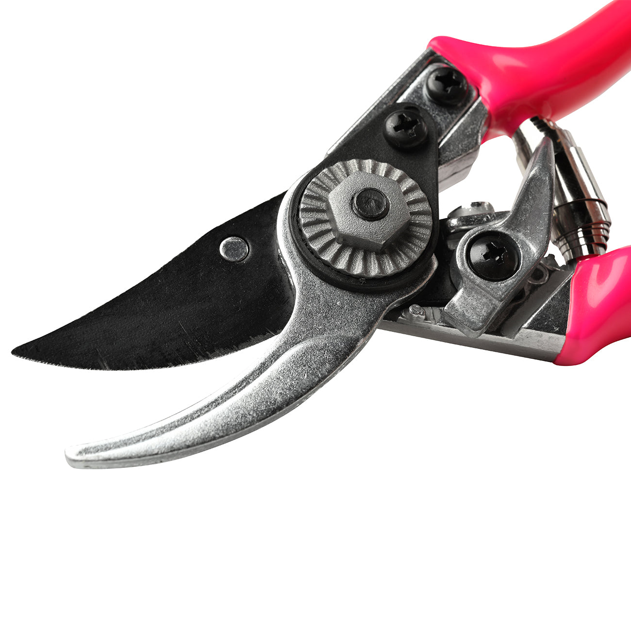 FloraBrite® Pink Pocket Pruner - RHS Endorsed