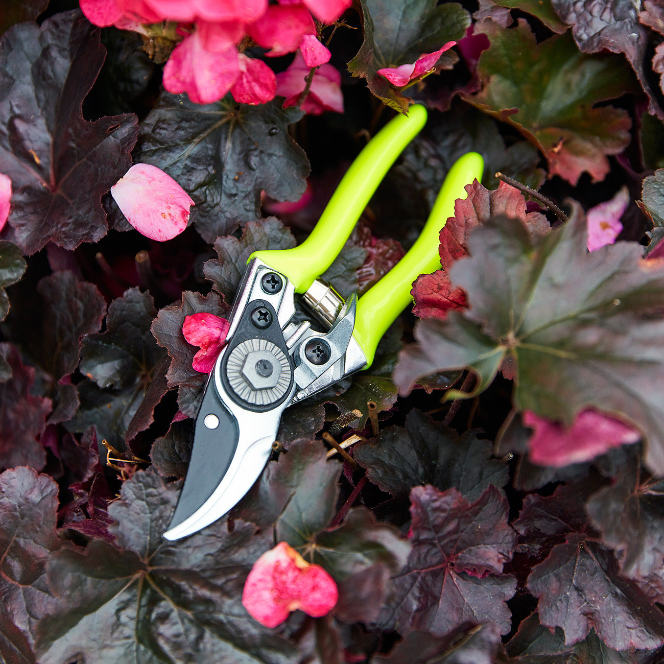 FloraBrite® Yellow Pocket Pruner - RHS Endorsed