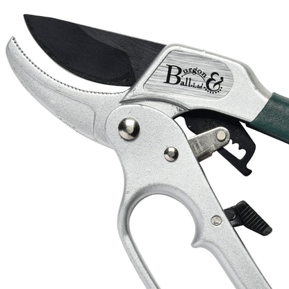 Ratchet Pruner - RHS Endorsed